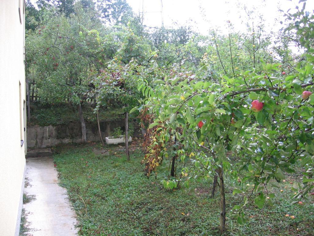 Guest House Pribojska Banja Luaran gambar